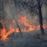 A wildfire rages in a mountainous area near the town of Al Hachimia, Bouira Province, on July 21, 2026.