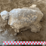 Stone turtle figurine found at the Gedikkaya Hill archaeological site in Turkey, September 4, 2026.