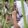 Rabbi Shmuel Eliyahu and his students hold the Four Species as they attend a morning prayer during the Jewish holiday of Sukkot, in Katzrin, northern Israel, on October 12, 2025.