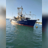 MV Matui.