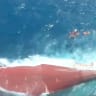 An aerial view of the Virgo Transport 8 passenger ship that capsized in Indonesia's Java sea, September 13, 2026, in this still image taken from video. 