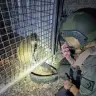 The defendant kept a grivet monkey inside a cage in his yard for at least a month. 