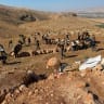 hashomer-new-moshav