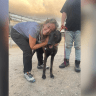 Dr. Galia Melman Shalev will receive the World Small Animal Veterinary Association's 2026 Animal Welfare Award for her efforts to rescue and treat hundreds of pets following the October 7 massacre.