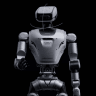 RealSense humanoid robot