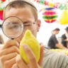 EXAMINING AN ETROG.