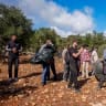 Israeli security forces remove Palestinians and left-wing activists from olive groves during the olive harvest season in the West Bank village of Beita, near Nablus, October 2, 2026