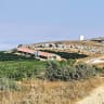 Planting again on the mountains of Samaria