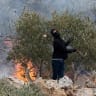 An Israeli settler casts a stone towards Palestinians, next to a fire, amid clashes during Palestinians' olive harvest in Abu Falah near Ramallah in the West Bank, October 16, 2026. 