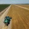  BARLEY WAS grown on 250 dunams of Kibbutz Be’eri on the Gaza border – ultimately used to brew Single Beeri, the first beer made with 100% Israeli-grown barley malt. 