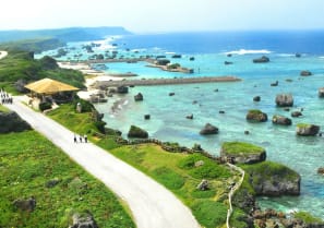 Why do people in Okinawa live longer?
