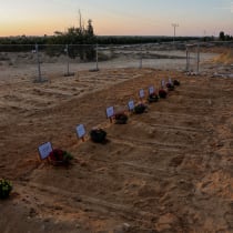  A woman looks at newly dug graves for the victims of the October 7th attack during the funeral of Albert Miles, 80, who was killed in his home in Kibbutz Beeri in the deadly infiltration of Israel by Hamas gunmen from the Gaza Strip, at the cemetery in Kibbutz Revivim, in southern Israel, October 3