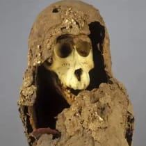  Baboons were often used as ritual offerings in ancient Egypt