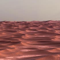  Dunes and Ripples in Olympia Undae on Mars