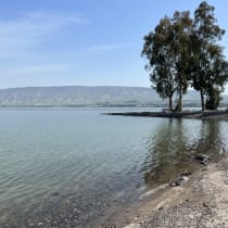  El Kinneret