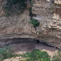  Una cueva donde viven garrapatas.