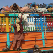  Un hombre afgano transporta un perro de compañía a un camión cargado de pertenencias, mientras regresan a Afganistán, después de que Pakistán diera un último aviso a los inmigrantes indocumentados para que se marcharan, en la puerta de la Amistad del paso fronterizo de Chaman, en la frontera entre 