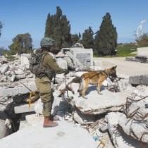  An IDF soldier from the Oketz Canine Unit trains her dog to find people trapped under rubble, near a military base close to Ashkelon. 