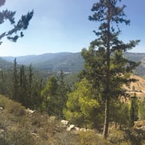  SHVIL HAMAAYANOT es una popular ruta de senderismo cercana a Jerusalén, con impresionantes vistas de los montes de Judea en gran parte de su recorrido y varios manantiales a lo largo del sendero. El inicio de la ruta se encuentra a sólo 20 minutos a pie de Hadassah Ein Kerem.