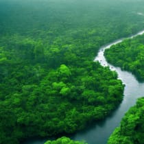  ¿Una vista aérea del río Amazonas?