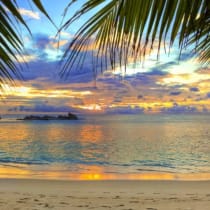  Lemuria resurge