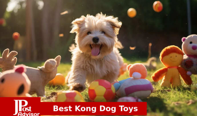 4 of the Best Dog Crate Toys & Kong Alternatives – Furtropolis