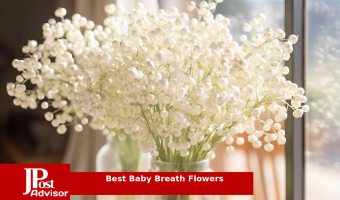 12 Pcs Babys Breath Artificial Flowers,LYLYFAN Gypsophila Real Touch  Flowers