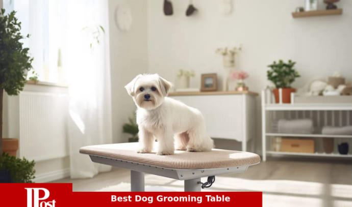 Yaheetech Pet Grooming Table & Reviews