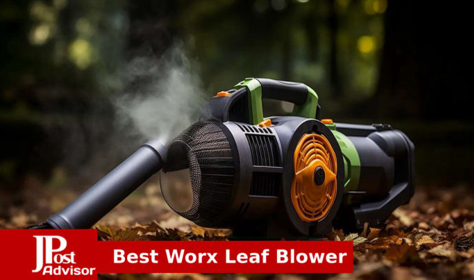 WORX WG545.1 20V Power Share AIR Cordless Leaf Blower 