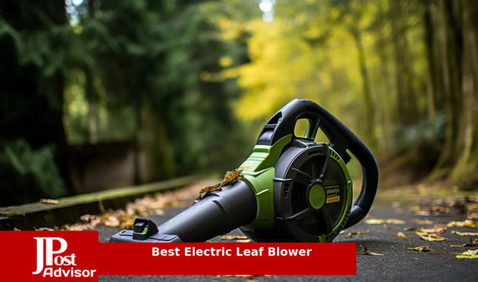 BLACK+DECKER Leaf Blower & Leaf Vacuum corded BV6000 Used very good  condition