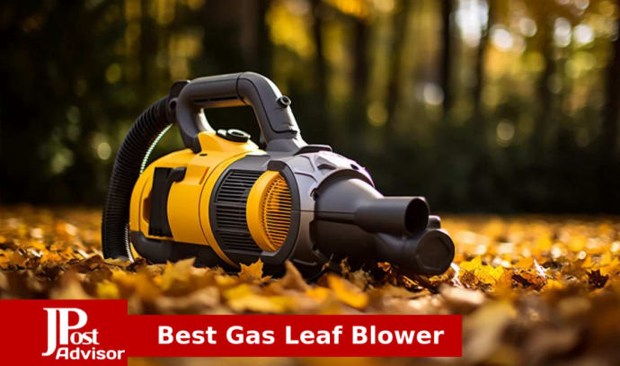 10 Best Electric Leaf Blowers for 2023 - The Jerusalem Post