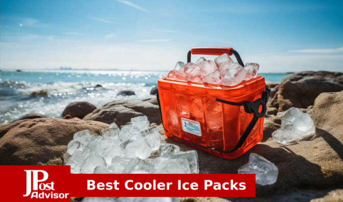 The 7 Best Ice Packs for Coolers in 2023, by Food & Wine