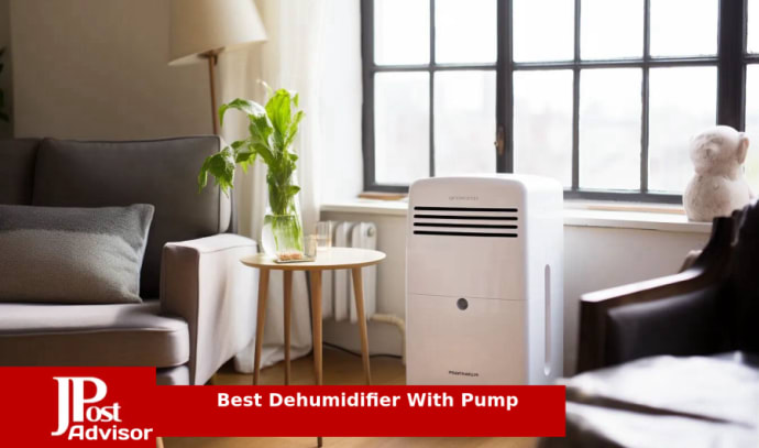Black + Decker Dehumidifier for Large Spaces and Basements Energy