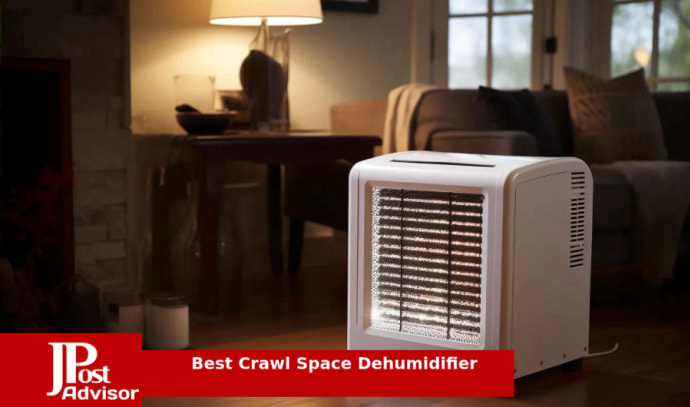 8 Best Dehumidifiers With Pump Review - The Jerusalem Post