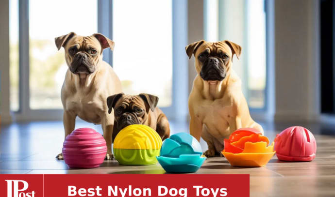 Best dog toys 2023: For playing tug, fetch and chewing