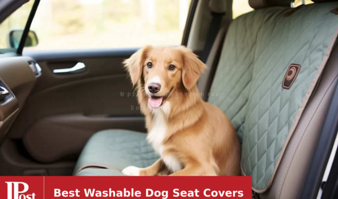 Ibuddy Dog Seat Covers for Trucks 100% Waterproof Dog Hammock