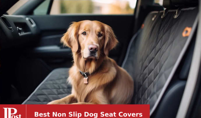 Meadowlark Front Seat Dog Car Seat Cover Black