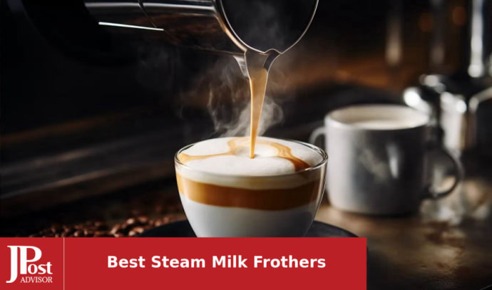 9 Best Steam Milk Frothers for 2023 - The Jerusalem Post