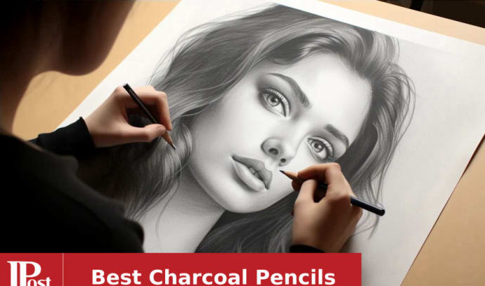 Premium Charcoal Drawing Pencils for Artists - 6 Pieces Soft Medium and  Hard - Charcoal Pencils for Drawing, Sketching and Shading - Great Non  Toxic