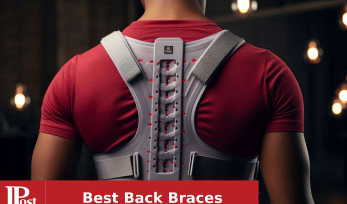 FREETOO Back Brace for Women Men Lower Back Pain Relief with 6 Stays,  Breathable Back Support Belt for Heavy Lifting Work , Anti-Skid Lumbar  Support