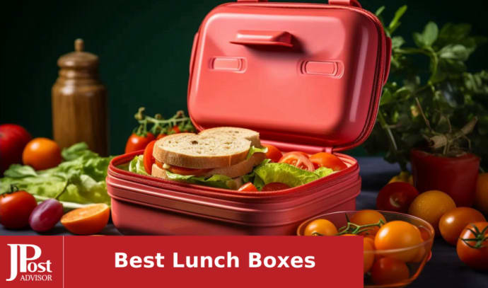 Must have lunches boxes for back to school in 2021, — Cami Happy Tribe