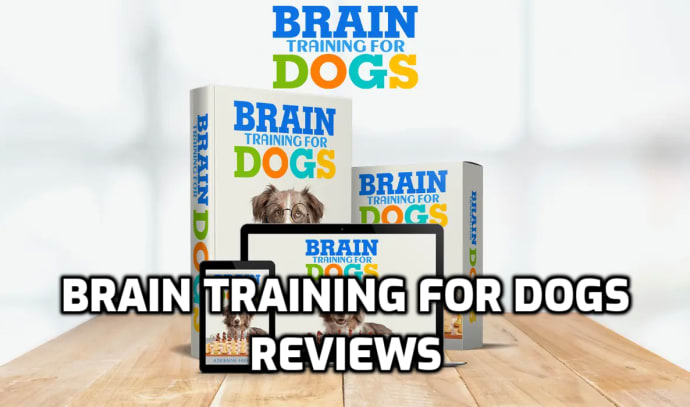 Brain Training for Dogs Review: Unlock Your Canine Companion's Potential -  The Jerusalem Post