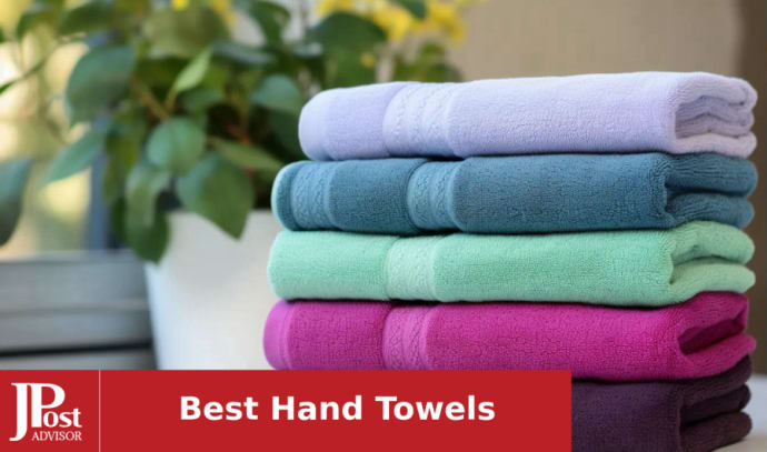 5 Packs Hand Towels - Ultra Soft & Highly Absorbent - Microfiber Coral  Velvet Spa, Quick Drying Hand Towel
