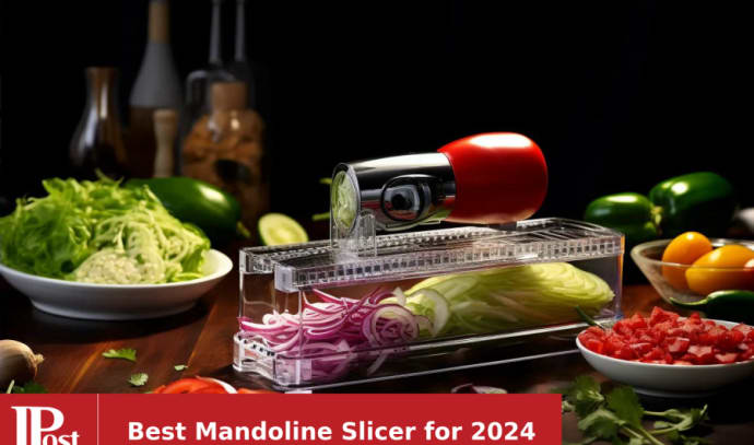 Mueller Mandoline Slicer, Five Blade Adjustable Vegetable Slicer, Cutter,  Shredder, Veggie Slicers for Fruits and Vegetables 
