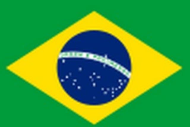Brazil Flag 311 (photo credit: courtesy)