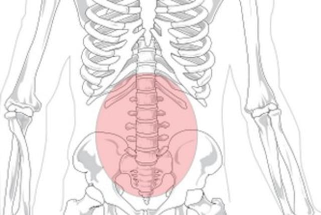 Lower back pain 370 (photo credit: Wikimedia Commons)