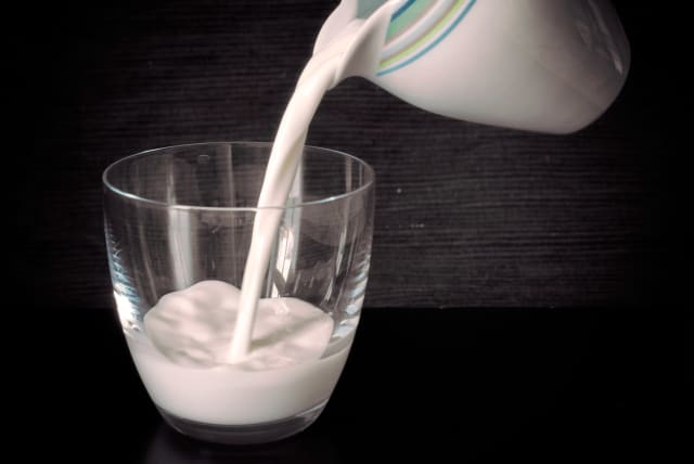 Milk (photo credit: MARTIN VOREL)