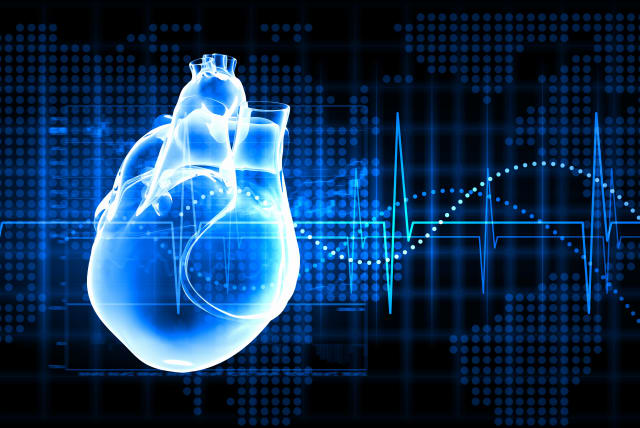 Virtual image of human heart  (photo credit: ING IMAGE/ASAP)