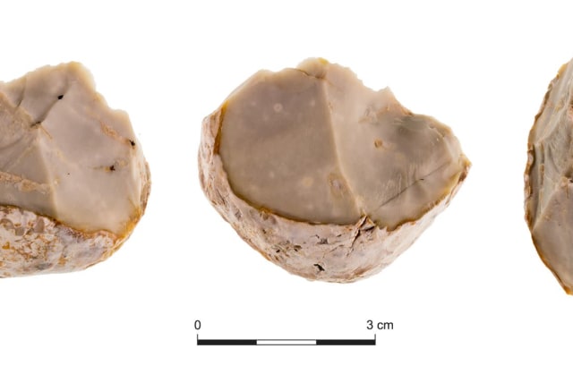 Prehistoric Ashdodites used chopping tools to eat bone marrow – study - The  Jerusalem Post