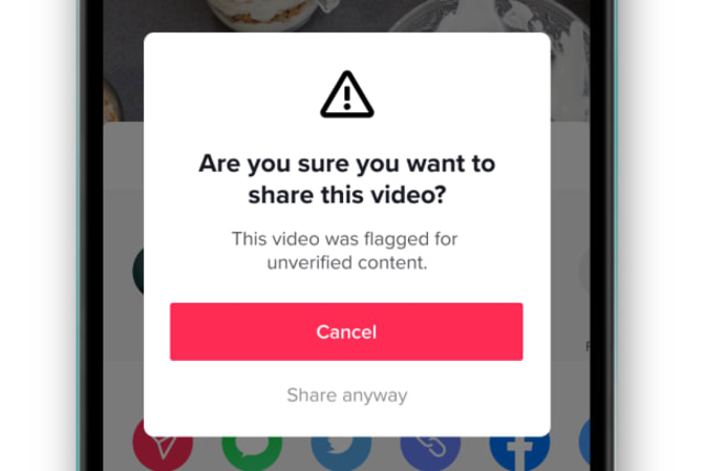 TikTok's new Know Your Facts feature sends urges users to reconsider before sharing unverified or misleading content. (photo credit: Courtesy)